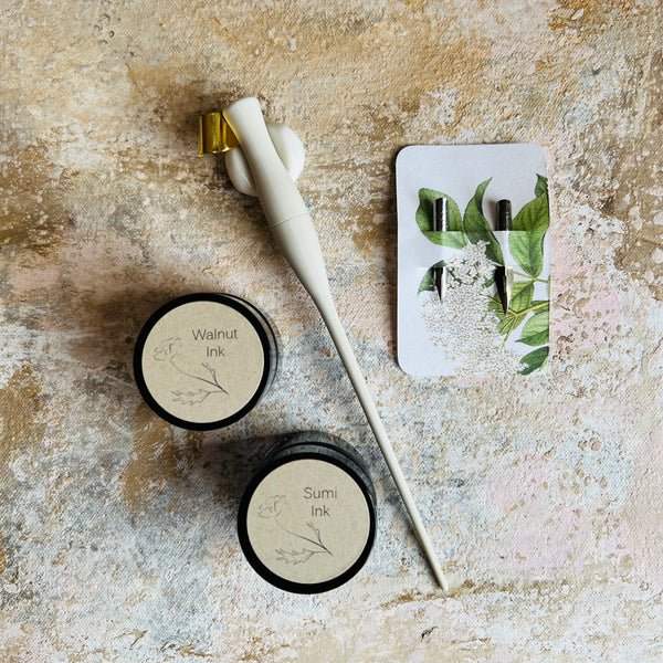 Beginner Calligraphy Kit